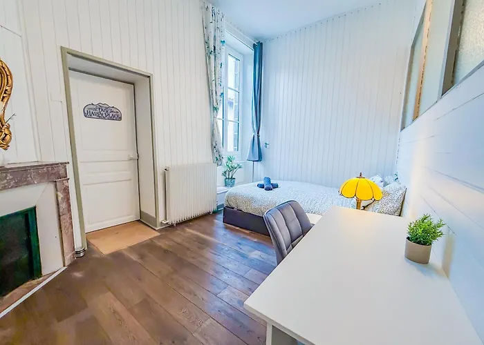 Delille Magnifique T2 En Plein Centre Clermont-Ferrand