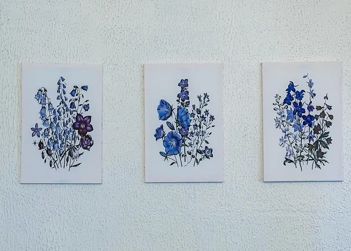 Delille Magnifique T2 En Plein Centre Appartamento *